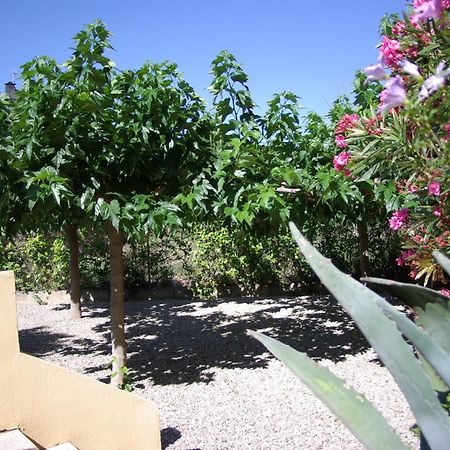 Mar Blau L'Escala Apartment Exterior photo